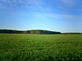 к. Северное, Ленинградская область